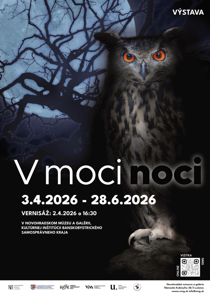 V moci noci
